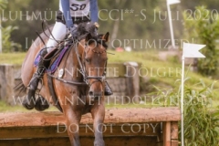 Irish Choice Veronique ZIMMER