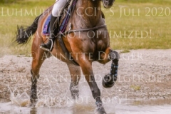 Irish Choice Veronique ZIMMER