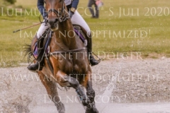 Irish Choice Veronique ZIMMER