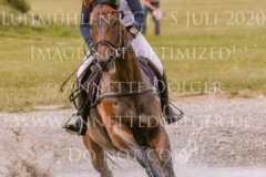 Irish Choice Veronique ZIMMER