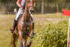 Novak van de Meyhoeve Bart VAN DER BEKEN