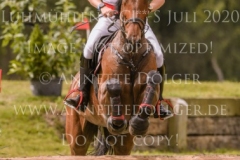 Novak van de Meyhoeve Bart VAN DER BEKEN