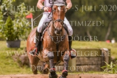 Novak van de Meyhoeve Bart VAN DER BEKEN