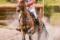 Novak van de Meyhoeve Bart VAN DER BEKEN