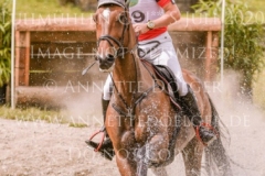 Novak van de Meyhoeve Bart VAN DER BEKEN