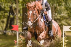 Escondido 5 Jennifer Kristin MILBERG