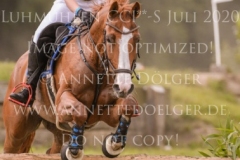 For Ever Pleasure N Pia SCHMUELLING