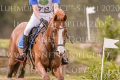 For Ever Pleasure N Pia SCHMUELLING