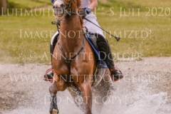 For Ever Pleasure N Pia SCHMUELLING