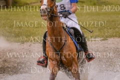 For Ever Pleasure N Pia SCHMUELLING