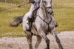 Painter's Igor Nicoletta MASSMANN