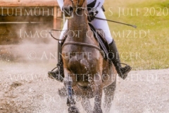 Carlchen 74 Maxima HOMOLA