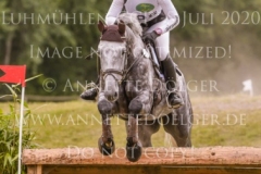 Quantum E Felicia VON BAATH