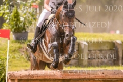 Moonlight Dance S Jakob Binder STRUCK