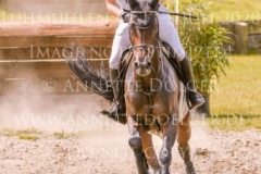 Moonlight Dance S Jakob Binder STRUCK