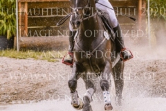 Lucky Toutch Leo VON SCHMELING