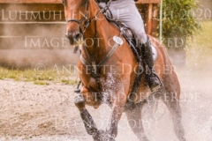 Cocky Locky Felix CARSTENSEN