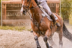 Horseware's Barny Kaya THOMSEN