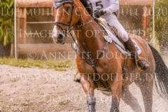 Horseware's Barny Kaya THOMSEN