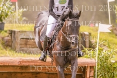 The Black Lady xx Johanna VOELKEL