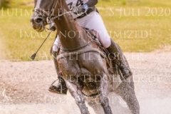 The Black Lady xx Johanna VOELKEL