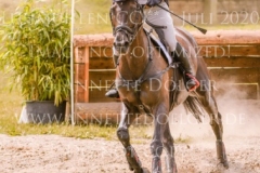 Fulco Willemina VAN DER GOES-PET