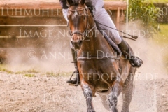 Upsala 30 Enna JOSWIG