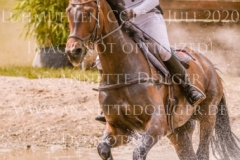 Upsala 30 Enna JOSWIG