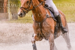 Union Jack Z Camilla ERIKSEN