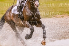 Carlson 114 Nicoletta MASSMANN