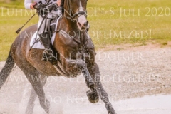 Carlson 114 Nicoletta MASSMANN