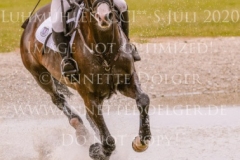 Carlson 114 Nicoletta MASSMANN