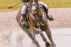 Carlson 114 Nicoletta MASSMANN