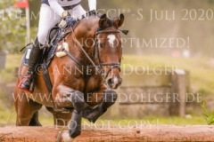 Horseware Nobleman Catharina DANNENMANN