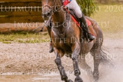 Jean Jardin Katharina LÜNINGHOENER