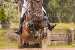 D'Accord 70 Svenja ECKERT