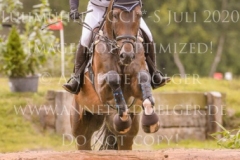 D'Accord 70 Svenja ECKERT