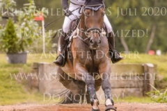 D'Accord 70 Svenja ECKERT