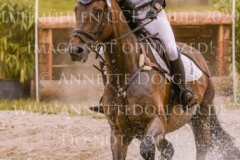 D'Accord 70 Svenja ECKERT