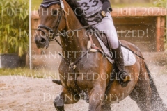 D'Accord 70 Svenja ECKERT