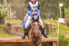 Celebration II Antonia KNAAK