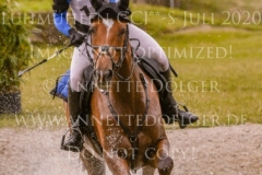 Celebration II Antonia KNAAK