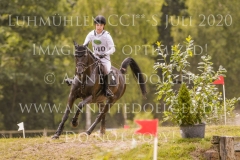 Sunnyvale Lass Shunto TAKAHASHI