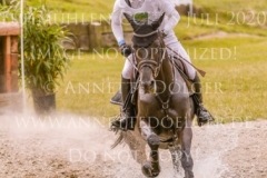 Sunnyvale Lass Shunto TAKAHASHI