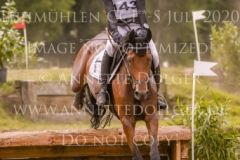 Fly Away Finn STROEBEL