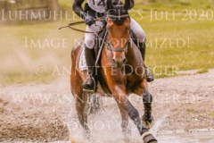 Fly Away Finn STROEBEL