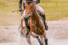 Fly Away Finn STROEBEL