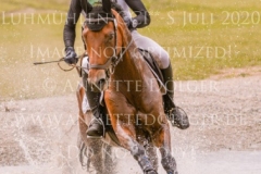 Fly Away Finn STROEBEL