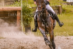 Feeling Brilliant Stella-Madeleine MARXER