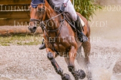 Halle Berry 6 Malou Zoe TOLXDORF